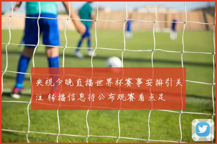 央视今晚直播世界杯赛事安排引关注 转播信息待公布观赛看点足