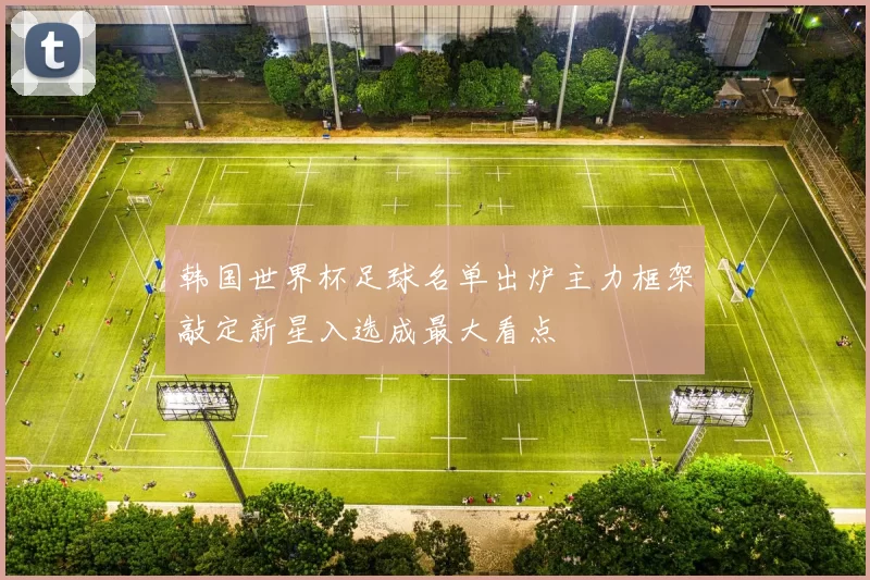 韩国世界杯足球名单出炉主力框架敲定新星入选成最大看点